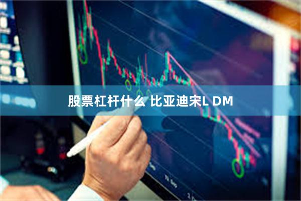 股票杠杆什么 比亚迪宋L DM