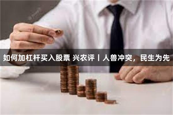如何加杠杆买入股票 兴农评丨人兽冲突，民生为先
