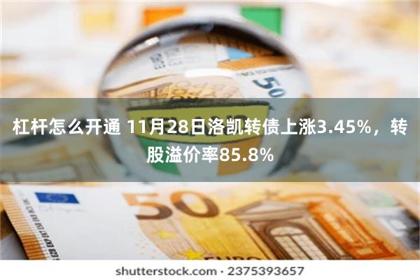 杠杆怎么开通 11月28日洛凯转债上涨3.45%，转股溢价率85.8%