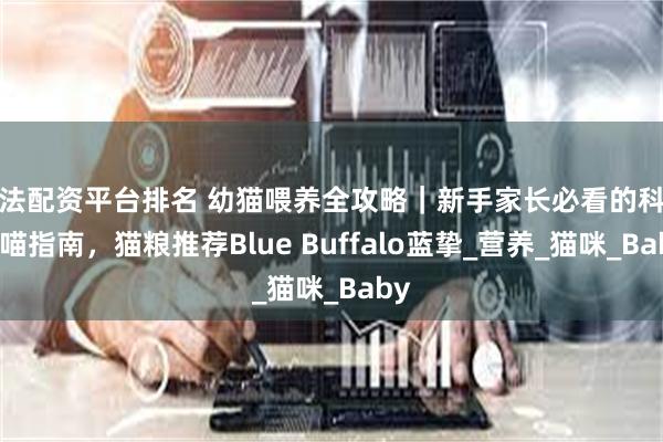 合法配资平台排名 幼猫喂养全攻略｜新手家长必看的科学养喵指南，猫粮推荐Blue Buffalo蓝挚_营养_猫咪_Baby