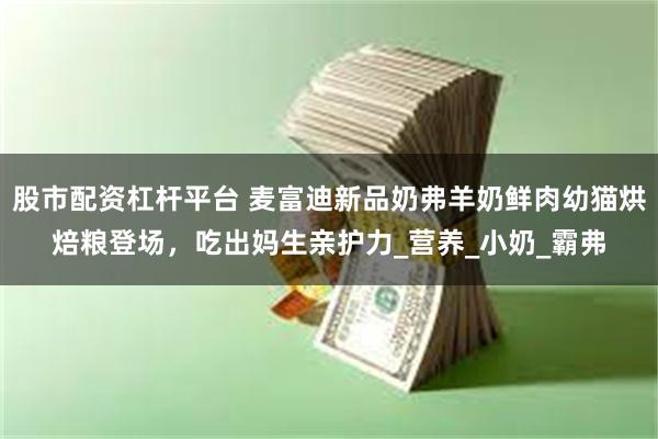 股市配资杠杆平台 麦富迪新品奶弗羊奶鲜肉幼猫烘焙粮登场，吃出妈生亲护力_营养_小奶_霸弗