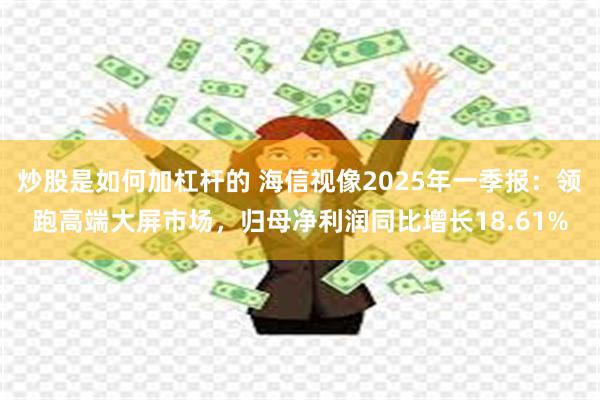 炒股是如何加杠杆的 海信视像2025年一季报：领跑高端大屏市场，归母净利润同比增长18.61%
